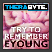 Try To Remember 