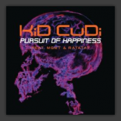 Pursuit Of Happiness (Extended Steve Aoki Remix)