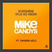 Sunshine (Fly So High)
