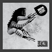 You Get Used To All The Madness