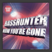 Now You're Gone