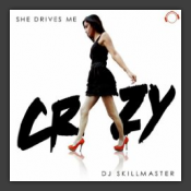 She Drives Me Crazy