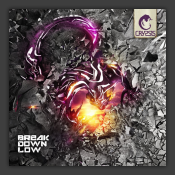 Break Down Low 