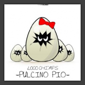 Pulcino Pio