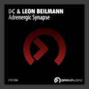 Adrenergic Synapse