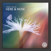 Here & Now