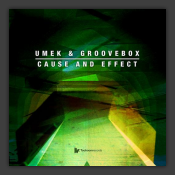Cause And Effect