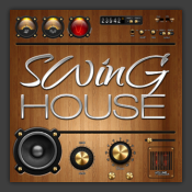 Swing House