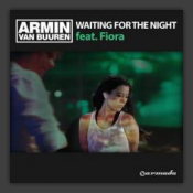 Waiting For The Night