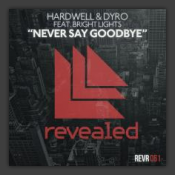 Never Say Goodbye