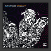 Human Reason / Simple Maze