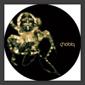 Cold Shoulder / Clashed Remixes