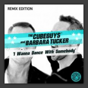 I Wanna Dance With Somebody