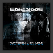 A Decade Of Enzyme Mashup 
