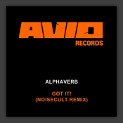 Got It! (Noisecult Remix) 