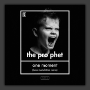 One Moment (Bass Modulators Remix) 