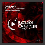 You Said You Promised