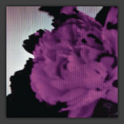 All Of Me