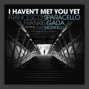 I Haven't Met You Yet