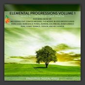 Elemental Progressions Vol. 1
