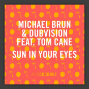 Sun In Your Eyes