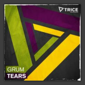 Tears (Remixes)