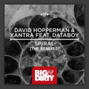 Spiral (The Remixes)