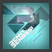 Let This Last Foreve (Remixes)