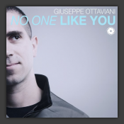 No One Like You