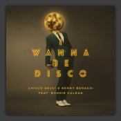 I Wanna Be Disco