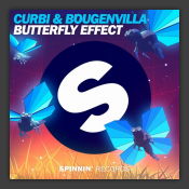 Butterfly Effect