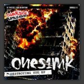 Destroying You