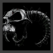 Premium Hardcore Selection Pt. I