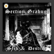 Seek & Destroy