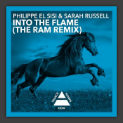Into The Flame (RAM Remix)