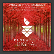Evolved Progressions 3