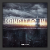 Bring It Down 
