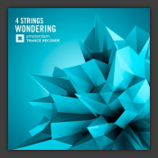 Wondering