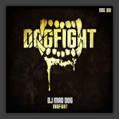 Dogfight