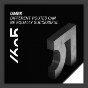 Different Routes Can Be Equally Successful