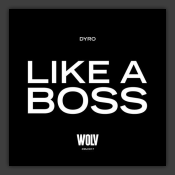 Like A Boss