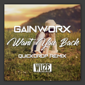 Want You Back