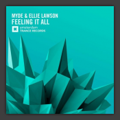 Feeling It All