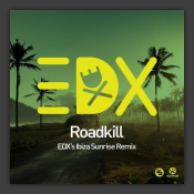 Roadkill