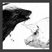 Honey Badger / Pig