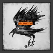 Blackbird