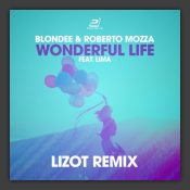 Wonderful Life