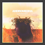 Luminosity / Purple Skies