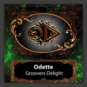 Groovers Delight