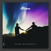 We Are The Universe